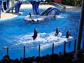 Sea World-191